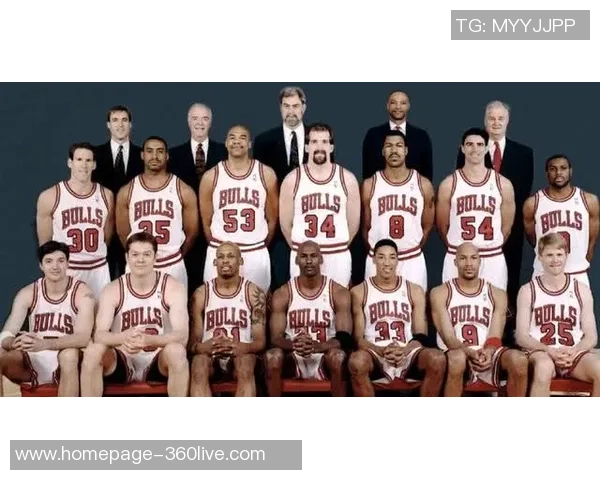 2011年NBA总决赛公牛与热火的巅峰对决回顾与分析